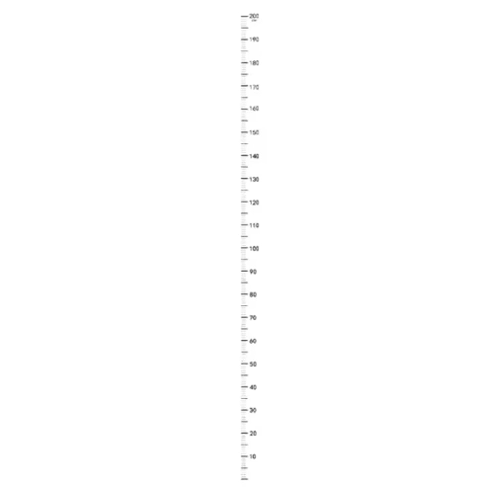 Kids Growth Height Chart Wall Sticker Waterproof SelfAdhesive Measuring Ruler 2