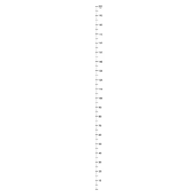 Kids Growth Height Chart Wall Sticker Waterproof SelfAdhesive Measuring Ruler 2