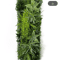 Artificial Eucalyptus Green Wall Panel Wedding Backdrop Grid Decor 40by120cm 6
