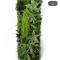 Artificial Eucalyptus Green Wall Panel Wedding Backdrop Grid Decor 40by120cm 6
