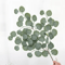 Artificial Eucalyptus Vine Garland Realistic Greenery For Wedding Home Decor 1