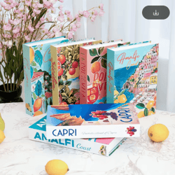 amalfi travel decorative book box – stylish coffee table storage decor