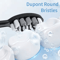 Rechargeable Electric Toothbrush Waterproof Rotary Toothbrush With 10 Brush Heads 3