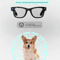 VisionEdge 4K AI Smart Glasses HD Camera Translation Bluetooth Call Wearable 0