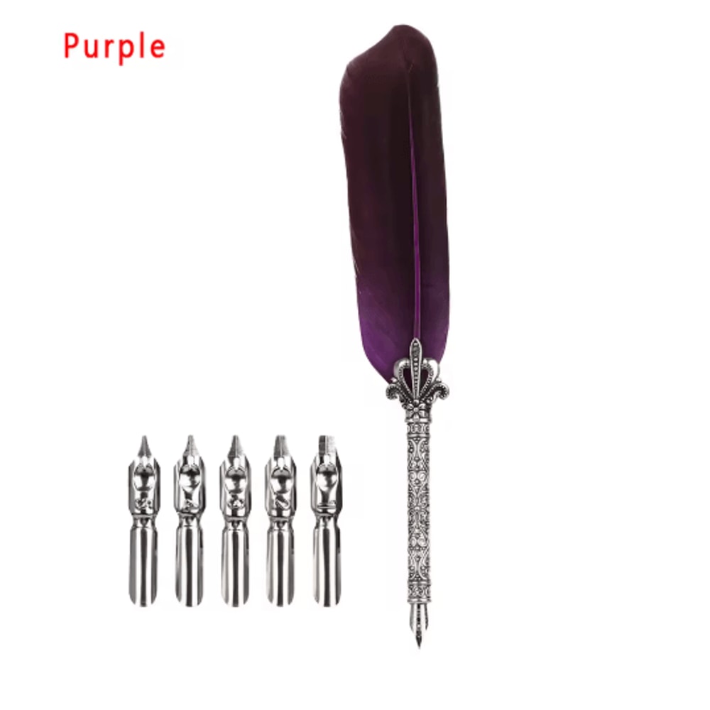 Luxury Vintage Feather Quill Pen Set With Gift Box 5 Nibs 10