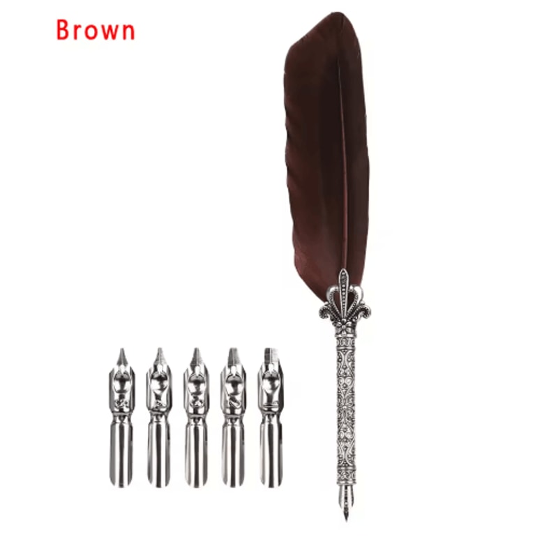 Luxury Vintage Feather Quill Pen Set With Gift Box 5 Nibs 4