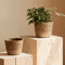 Handmade Woven Straw Planter Basket For Flowers Home Decor 6