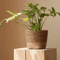 Handmade Woven Straw Planter Basket For Flowers Home Decor 7