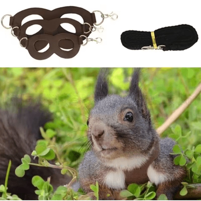 PU Leather Small Pet Harness Leash Set For Hamsters Guinea Pigs Sugar Gliders 6