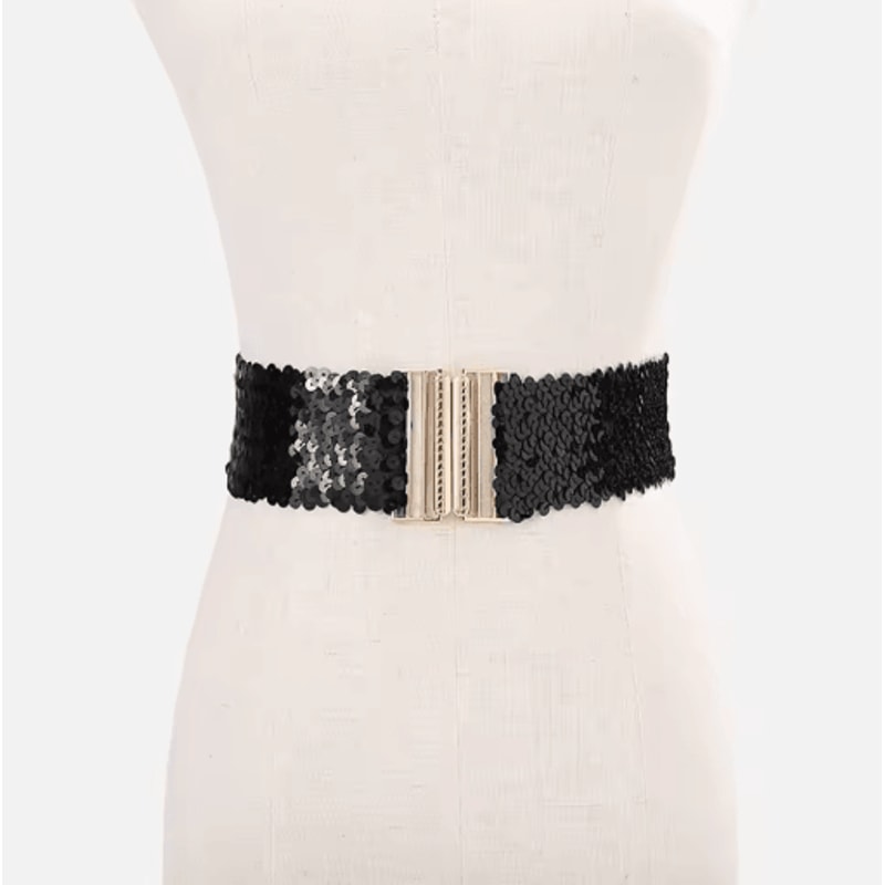 Wide Elastic Sequin Waist Belt With Gold Buckle For Women 14
