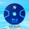 PS4 Version 901252 Compatible Console Accessory Tool 4