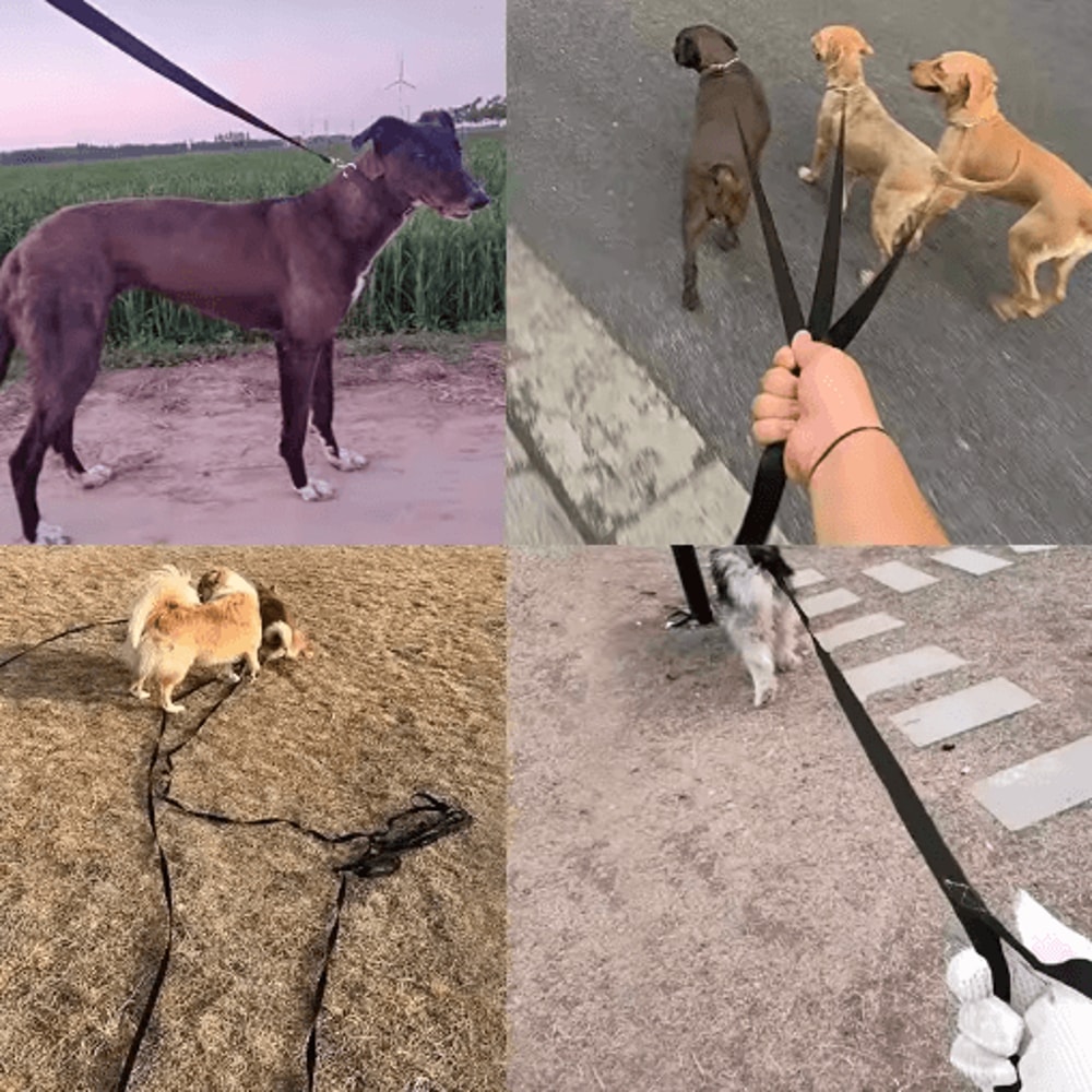 HeavyDuty Nylon Long Dog Leash For Training Outdoor Walking 2