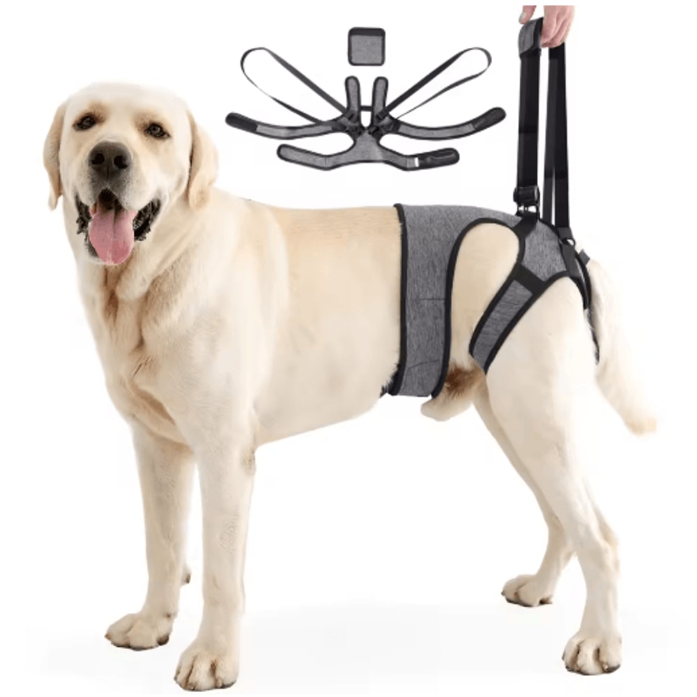 Adjustable Dog Lift Harness For Back Leg Support Walking Assistance 1