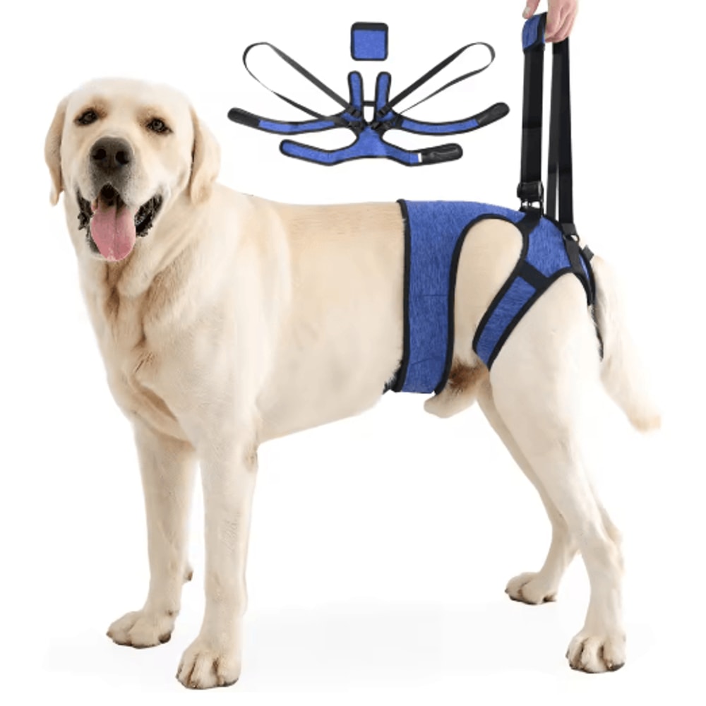 Adjustable Dog Lift Harness For Back Leg Support Walking Assistance 2