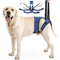 Adjustable Dog Lift Harness For Back Leg Support Walking Assistance 2