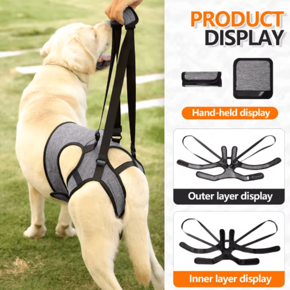 Adjustable Dog Lift Harness For Back Leg Support Walking Assistance 3