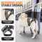 Adjustable Dog Lift Harness For Back Leg Support Walking Assistance 5