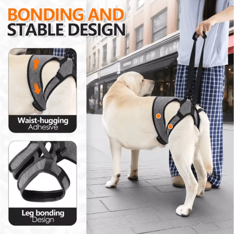 Adjustable Dog Lift Harness For Back Leg Support Walking Assistance 5