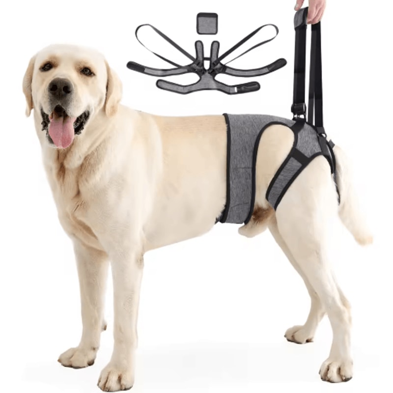 Adjustable Dog Lift Harness For Back Leg Support Walking Assistance 0