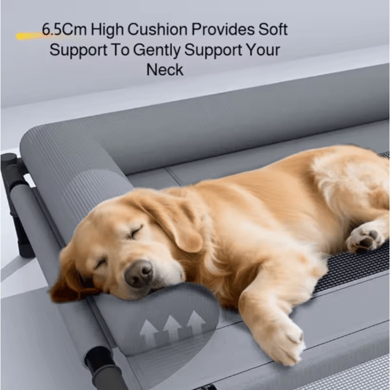 Raised Breathable Pet Bed For Medium Large Dogs And Cats 4