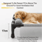 Raised Breathable Pet Bed For Medium Large Dogs And Cats 6