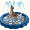 HeavyDuty Outdoor Pet Bath Cooling Splash Basin For Dogs 0