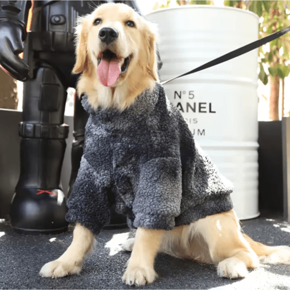 HOOPET Winter Lambswool Dog Jacket For Medium Large Dogs 5