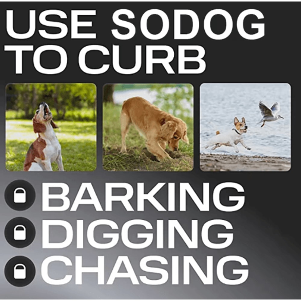 ABQP Ultrasonic Dog Repeller Rechargeable Anti Bark Training Device 5
