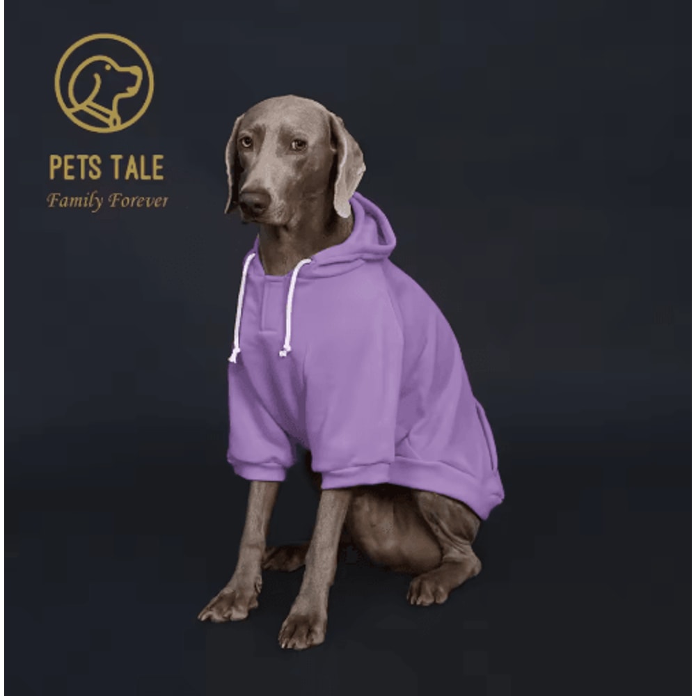 Solid Color Dog Hoodie With Pocket Soft Pet Sweatshirt With Adjustable Collar 1