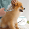 4PCS Pet Grooming Scissors Set Safe Round Tip Dog Grooming Shears 3