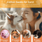 Professional Pet Ear Cleaning Cotton Swabs DoubleSided Bamboo Swabs For Dogs Cats 8