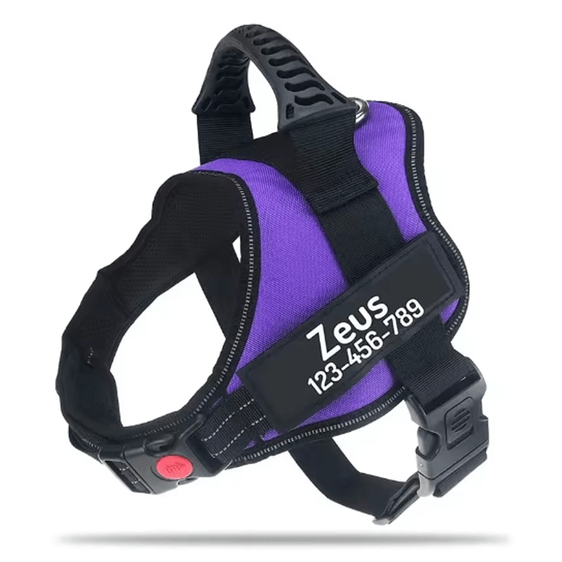 Custom Nylon Dog Harness With Name ID Adjustable Vest Harness For Small Large Dogs 11