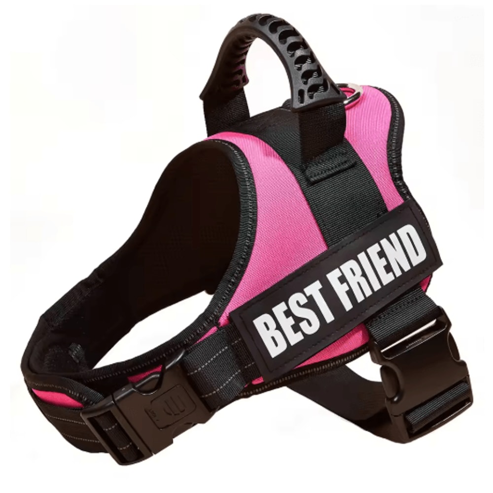 Custom Nylon Dog Harness With Name ID Adjustable Vest Harness For Small Large Dogs 12