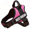 Custom Nylon Dog Harness With Name ID Adjustable Vest Harness For Small Large Dogs 12