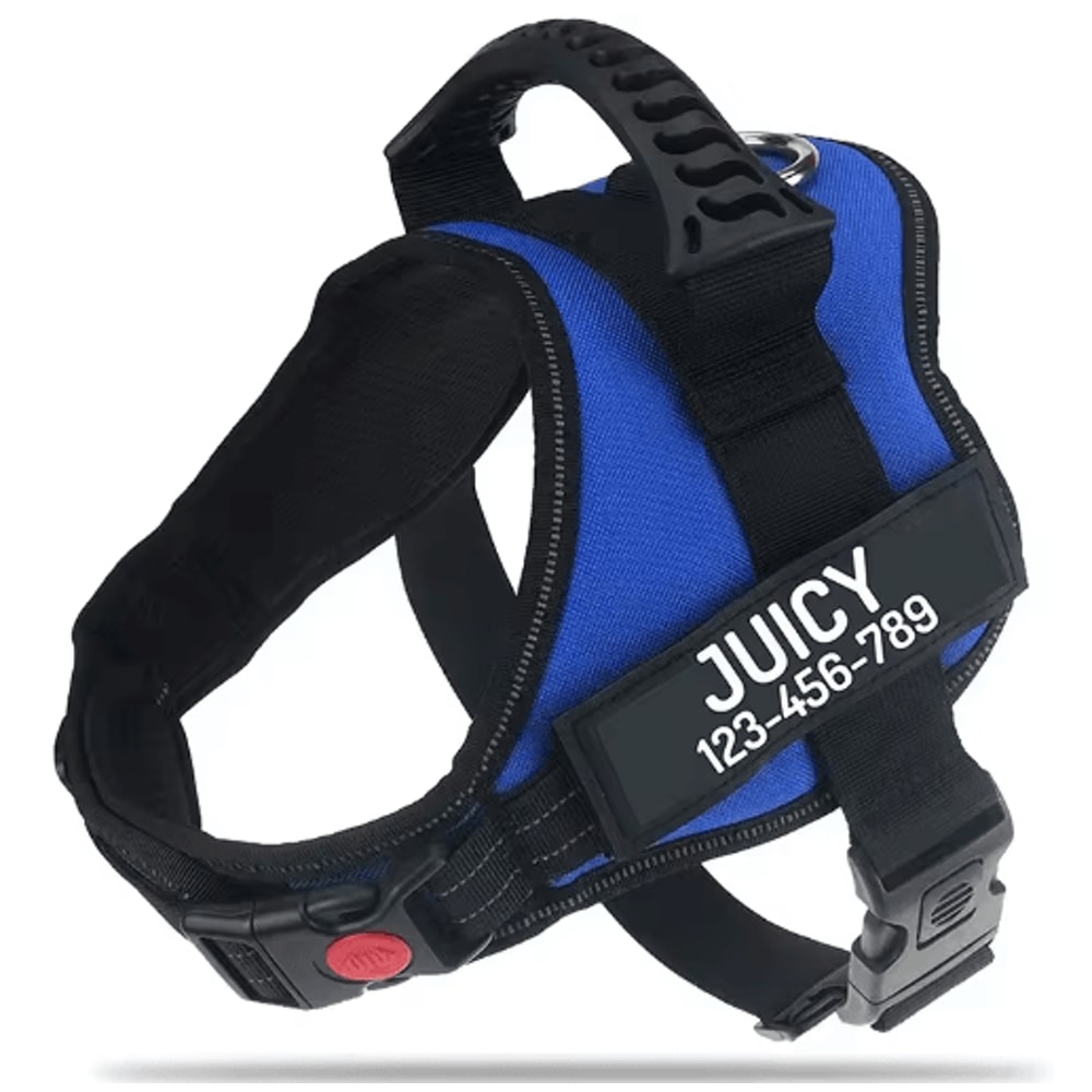 Custom Nylon Dog Harness With Name ID Adjustable Vest Harness For Small Large Dogs 14
