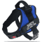 Custom Nylon Dog Harness With Name ID Adjustable Vest Harness For Small Large Dogs 14