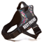 Custom Nylon Dog Harness With Name ID Adjustable Vest Harness For Small Large Dogs 7