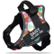 Custom Nylon Dog Harness With Name ID Adjustable Vest Harness For Small Large Dogs 8
