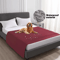 Waterproof NonSlip Pet Bed Cover Sofa Furniture Protector For Dogs And Cats 1