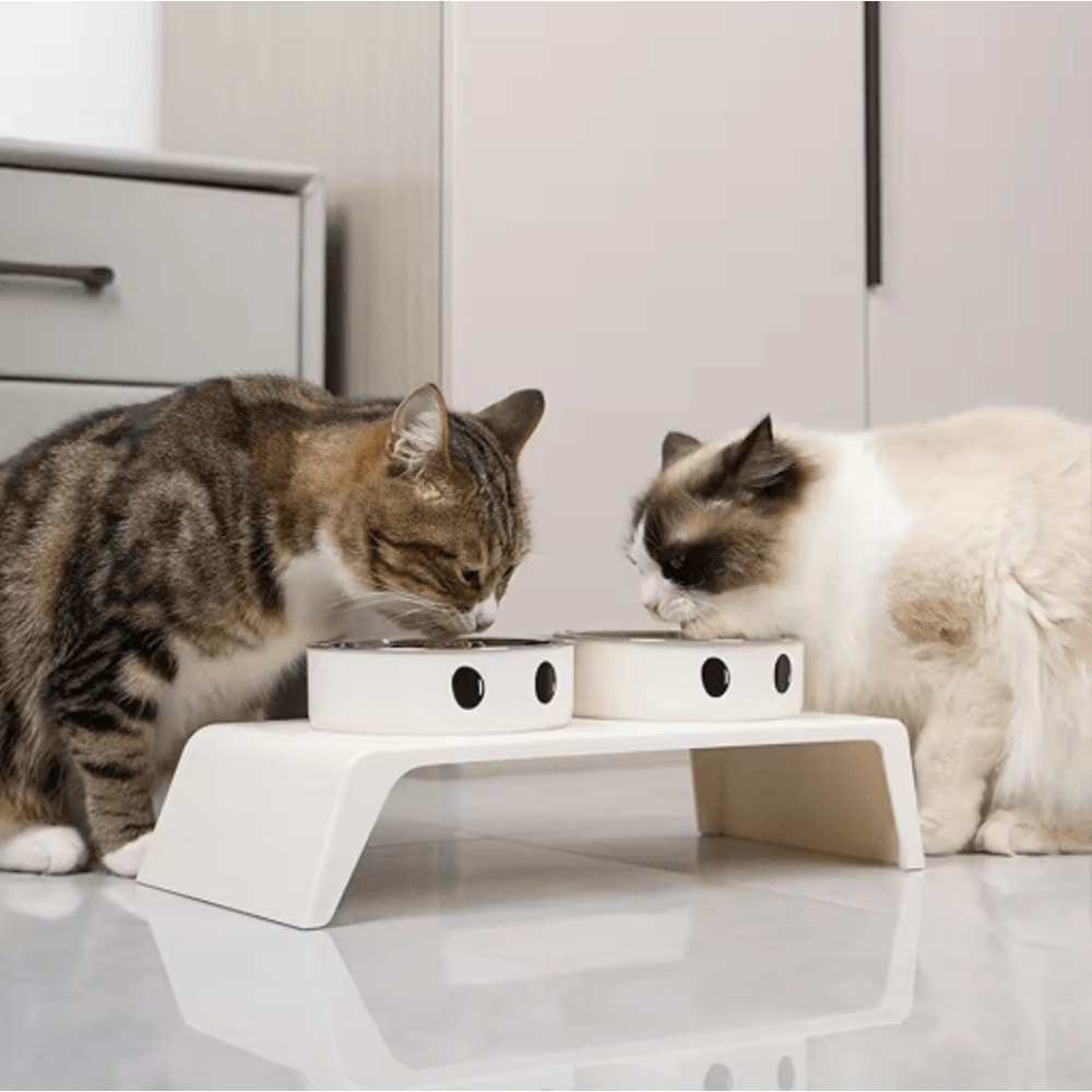 Elevated Dog Feeder With Stainless Steel Bowls Raised Pet Feeding Station For Dogs Cats 7