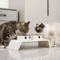 Elevated Dog Feeder With Stainless Steel Bowls Raised Pet Feeding Station For Dogs Cats 7