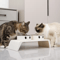 Elevated Dog Feeder With Stainless Steel Bowls Raised Pet Feeding Station For Dogs Cats 7