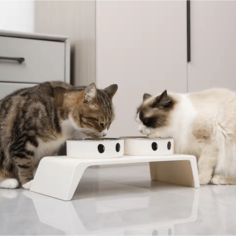 Elevated Dog Feeder With Stainless Steel Bowls Raised Pet Feeding Station For Dogs Cats 7