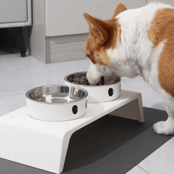 elevated dog feeder with stainless steel bowls raised pet feeding station for dogs & cats