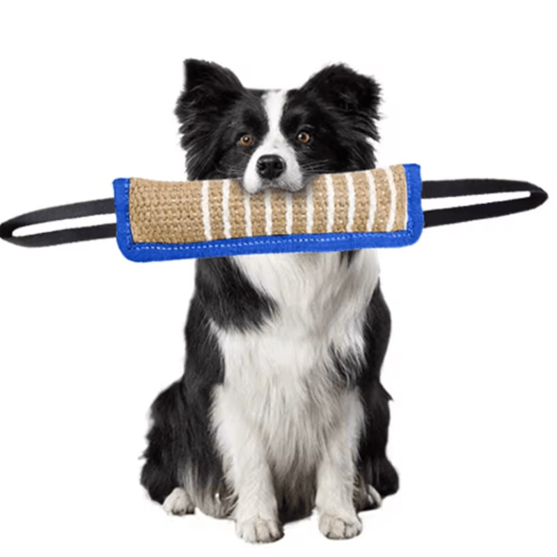 Jaoseko Dog Bite Training Stick Durable Chew Teeth Grinding Toy For Dogs 5
