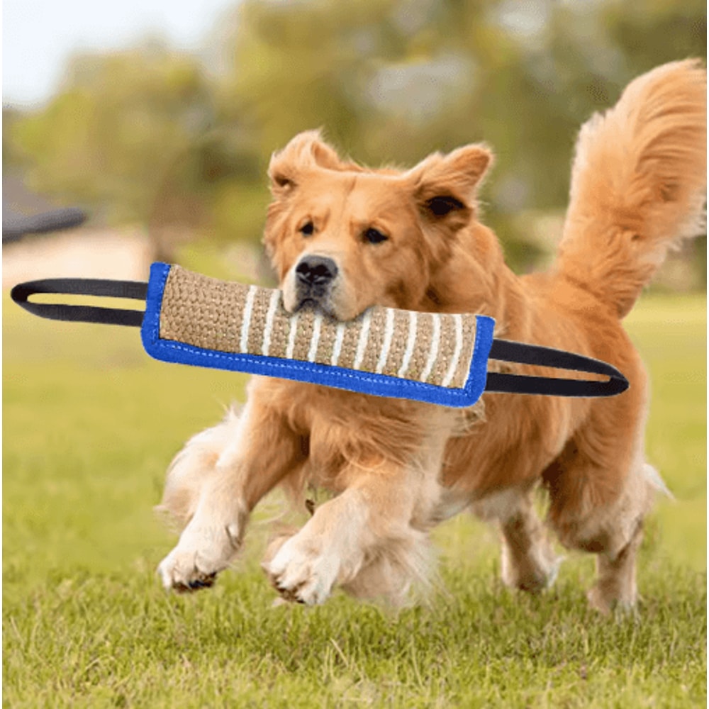 Jaoseko Dog Bite Training Stick Durable Chew Teeth Grinding Toy For Dogs 6