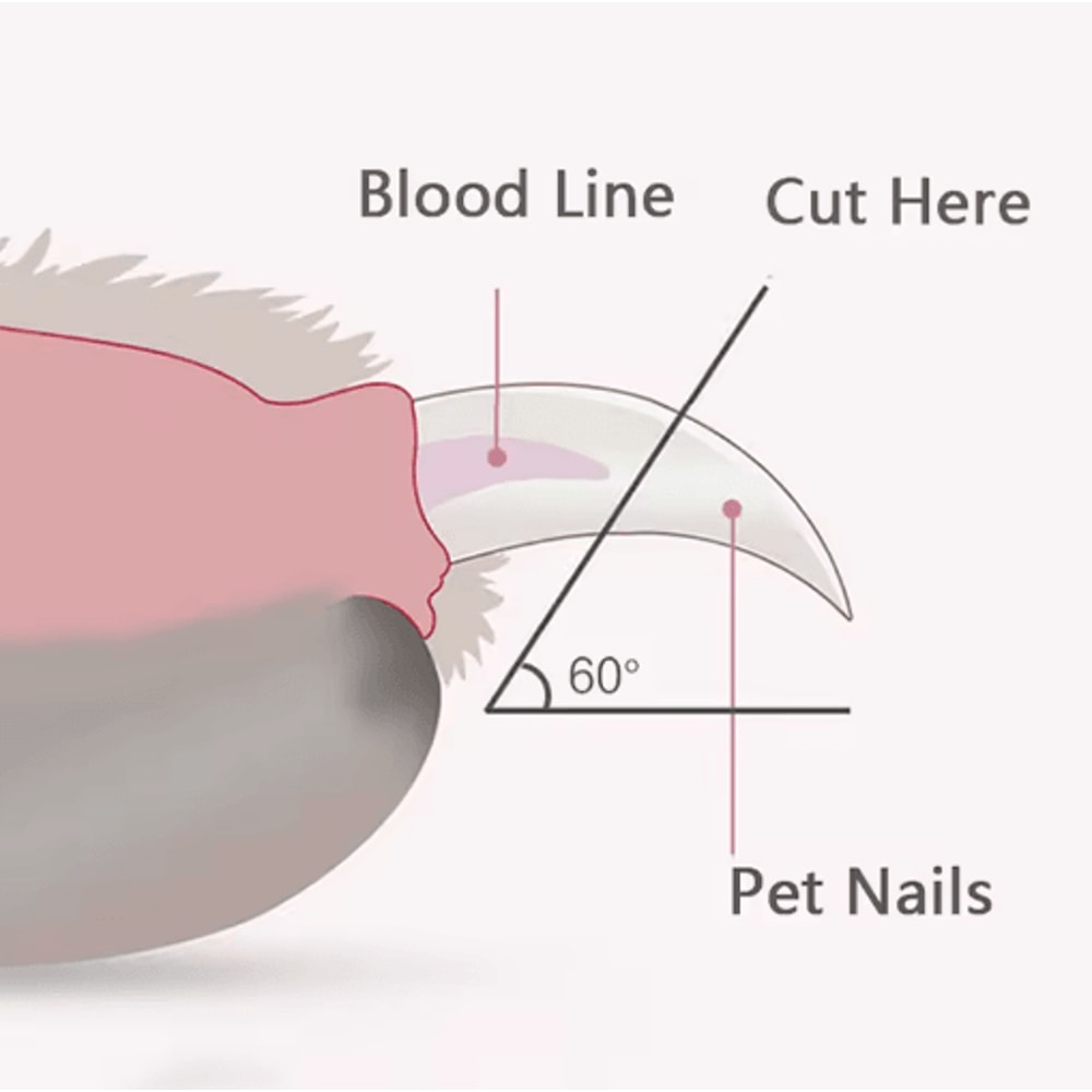 LED Pet Nail Clippers Safe Professional Nail Trimmer For Dogs Cats 7