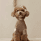 Love Bear Dog Hoodie Warm Winter Pet Shirt For Teddy Yorkshire Small Pets 1