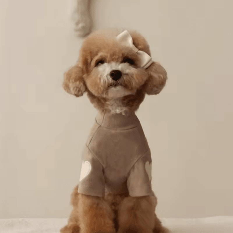 Love Bear Dog Hoodie Warm Winter Pet Shirt For Teddy Yorkshire Small Pets 1