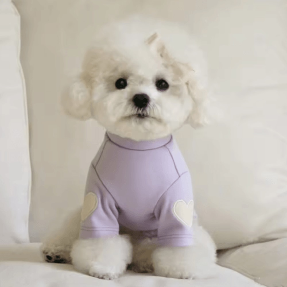 Love Bear Dog Hoodie Warm Winter Pet Shirt For Teddy Yorkshire Small Pets 2